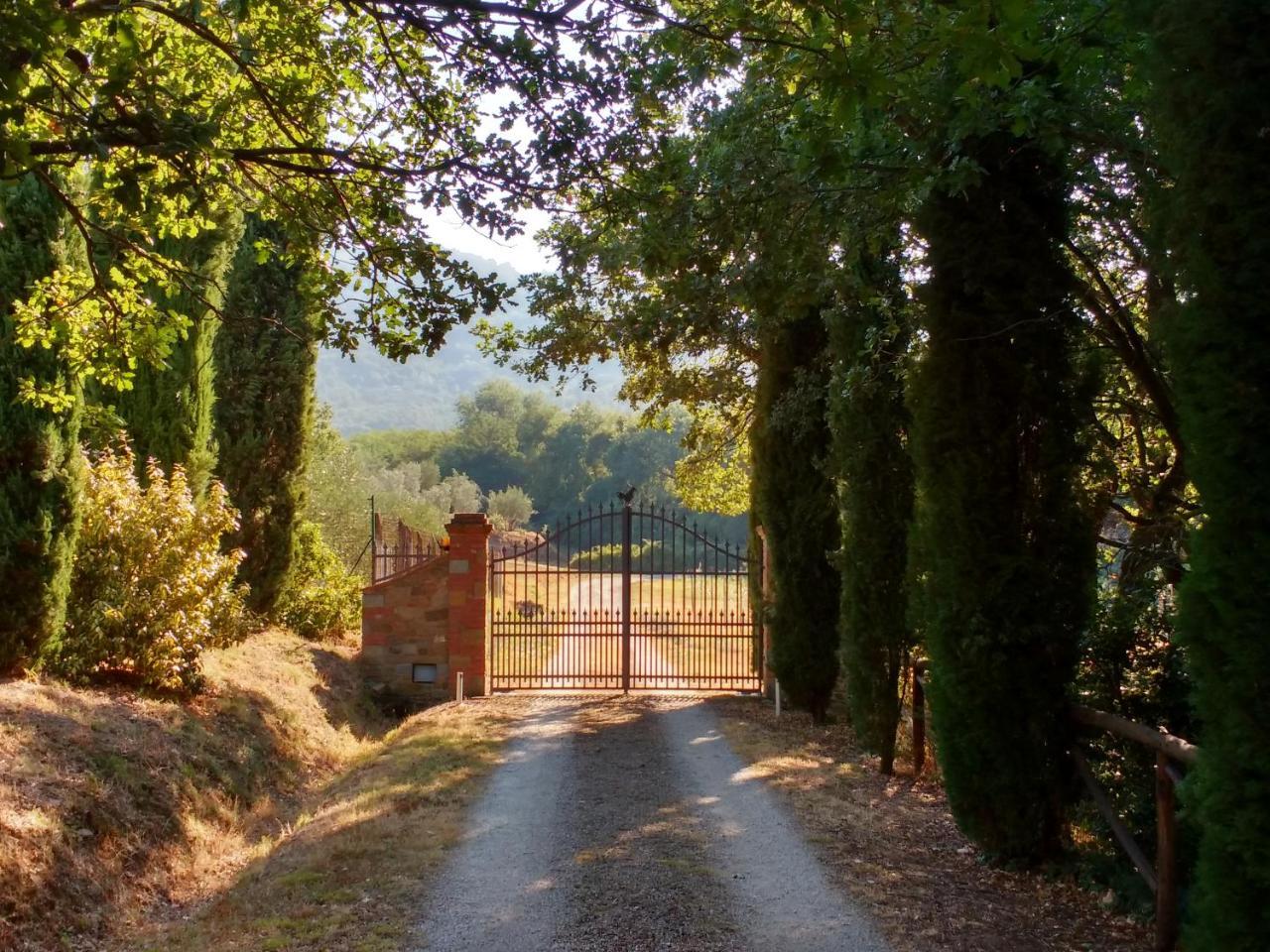 Apartmán Casale I Burroni Arezzo Exteriér fotografie